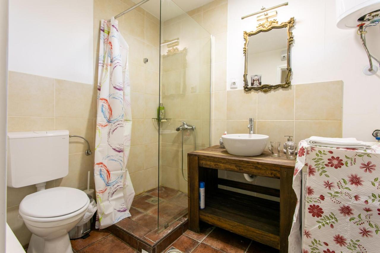 Appartement Seosko Domacinstvo Pustolov à Stari Banovci Extérieur photo